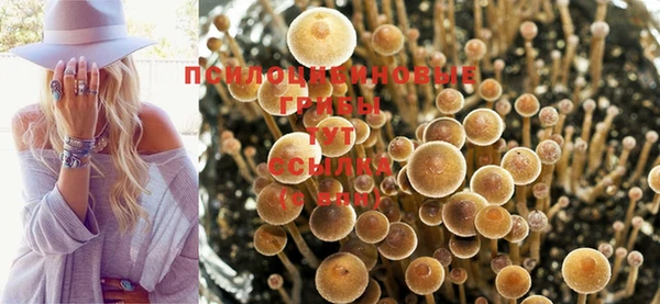 СК Алзамай