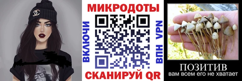 Галлюциногенные грибы мицелий как найти Феодосия